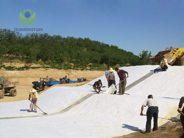 Taian Hongyuan Geosynthetics Co., ltd.